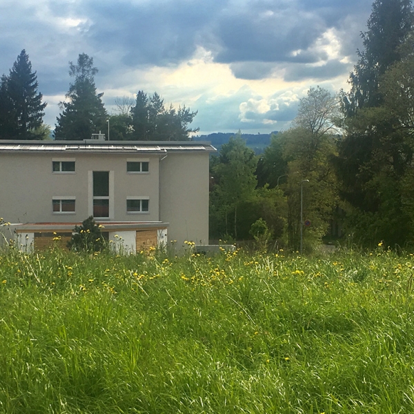 Rückseite mit Carport